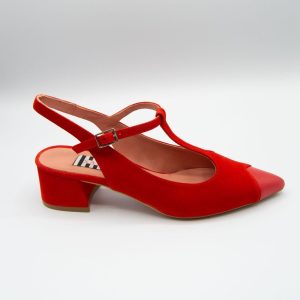 Zapato ante