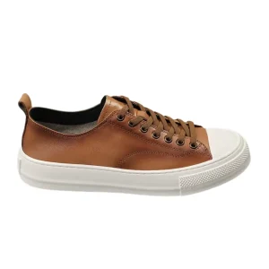 Zapatos elegantes de piel