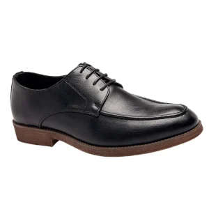 Zapatos elegantes de piel